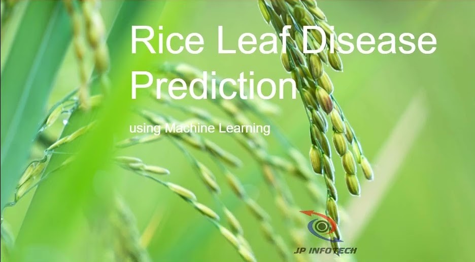 Rice leaf disease prediction
